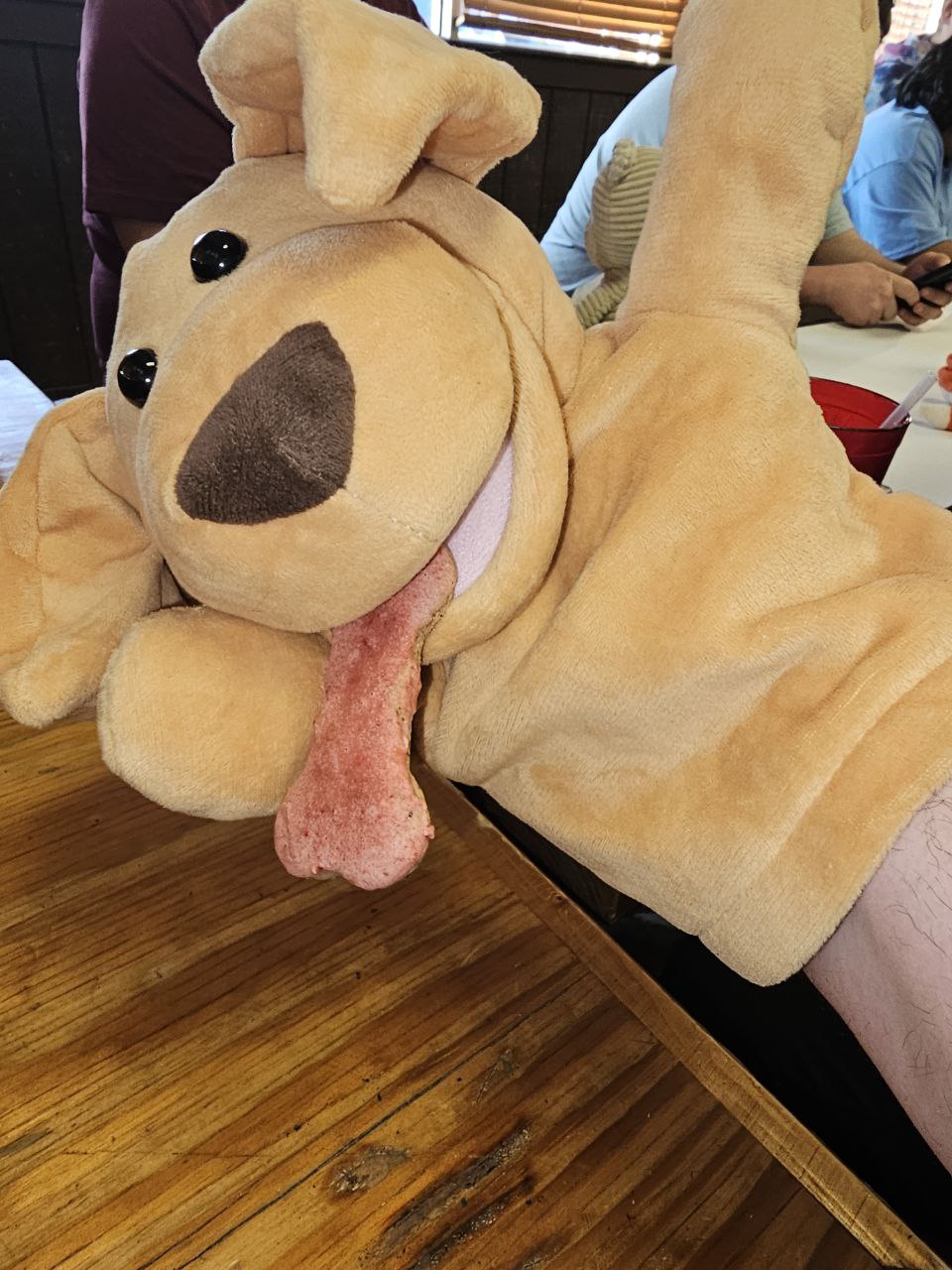 Phill, ACAP's official traveling hand-puppet mascot